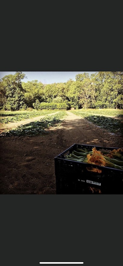 Producteurs Du 06, Primeur Fruits et Légumes à Vence