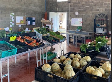MAS ALEXANDRINE - Philippe DEBATTISTA - Maraîcher - Agriculture Biologique, Primeur Fruits et Légumes à Saint-Nazaire-de-Pézan