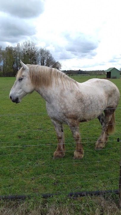 De La Patazerie, Primeur Fruits et Légumes à Mardié