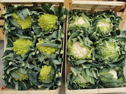 LE PETIT CAMARGUAIS, Primeur Fruits et Légumes à Saintes-Maries-de-la-Mer