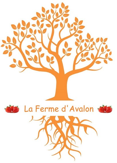 La Ferme D'Avalon, Primeur Fruits et Légumes à Nouvoitou