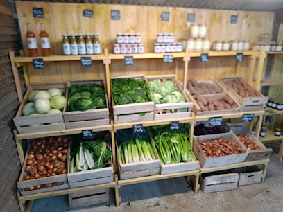 Les Jardins Potagers D'alfred - Maraîcher Villepot, Primeur - Fruits Et Légumes à Villepot