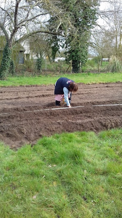 earl du pel, Primeur Fruits et Légumes à Longué-Jumelles