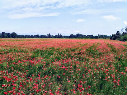 Les Fruits De Rochemaure, Primeur Fruits et Légumes à Rochemaure