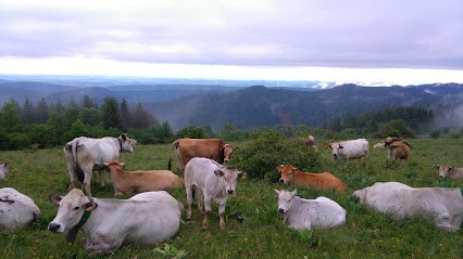 PAULINE Ô BIO, Primeur Fruits et Légumes à Belcaire