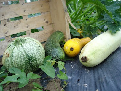 EARL LE PANIER DU JARDIN D'AGNES, Primeur Fruits et Légumes à Neugartheim-Ittlenheim