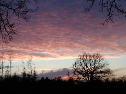 Gaec Blin, Primeur Fruits et Légumes à Parigné-l'Évêque