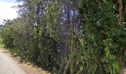 LPM le petit maraicher BIO, Primeur Fruits et Légumes à Monteux