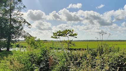 Aux Jardins Motelons, Primeur Fruits et Légumes à Picauville