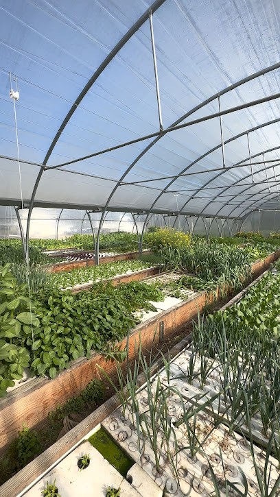 From The Mouth Water, Primeur Fruits et Légumes au Pout