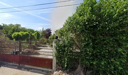 Beillard Thierry, Primeur Fruits et Légumes à Villebernier