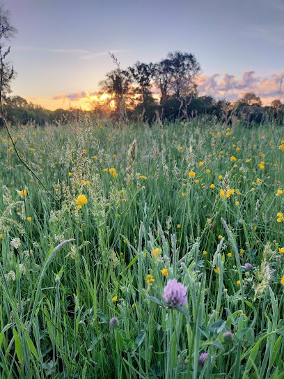 La ferme du plessioux, Primeur Fruits et Légumes à Saint-Denis-de-Jouhet