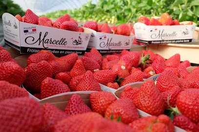 La Ferme De Marcelle, Primeur Fruits et Légumes à Saint-Marcel-lès-Valence