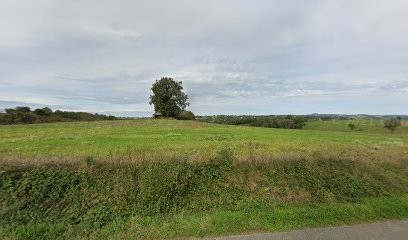 Ferme de la Valésie, Primeur Fruits et Légumes à Tayrac