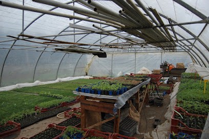 Cabaret Roulleau - Maraîcher Légumes Bio, Primeur Fruits et Légumes à Rostrenen