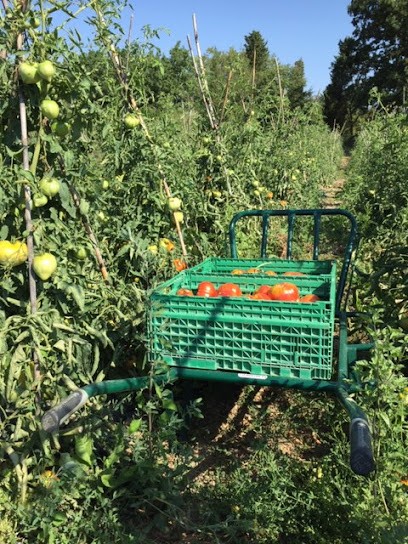 Rémy Lefebvre Légumes Bio, Primeur Fruits et Légumes à Opio