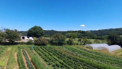 Haitz Ondoa, Primeur Fruits et Légumes à Mendionde
