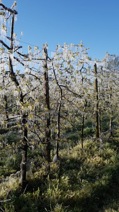 Mont'paysan, Primeur Fruits et Légumes à Montlouis-sur-Loire