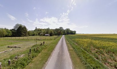 Danger Guy, Primeur Fruits et Légumes à Fontenay