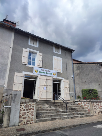 Terre De Saveurs Primeur - Fruits Et Légumes à Chirac