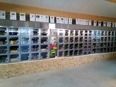 SCEA GUICHET, Primeur Fruits et Légumes à La Turballe