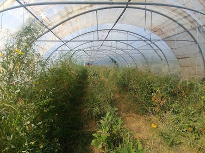 Crossey Cueillette, Primeur Fruits et Légumes à Saint-Étienne-de-Crossey