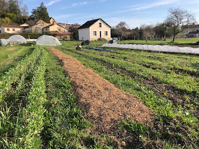 Les Jardins naturels de la Garenne, Primeur Fruits et Légumes à Chantérac