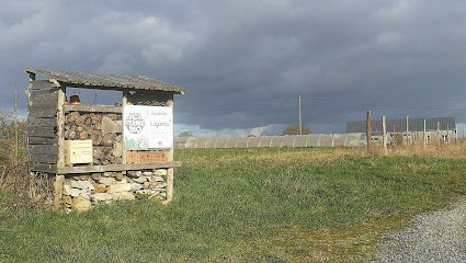 GAEC RHUBARBE, Primeur Fruits et Légumes à Saint-Denis-d'Anjou