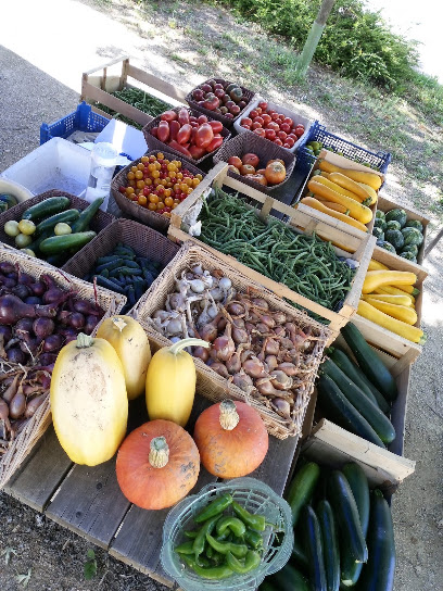 La Jardinière D'hauterive Primeur - Fruits Et Légumes à Saint-Gervais-en-Vallière