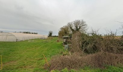 La Cueillette Des Tourettes, Primeur Fruits et Légumes à Saint-Médard-d'Aunis