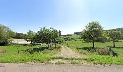 Serre D'Avenir, Primeur Fruits et Légumes à Liévans