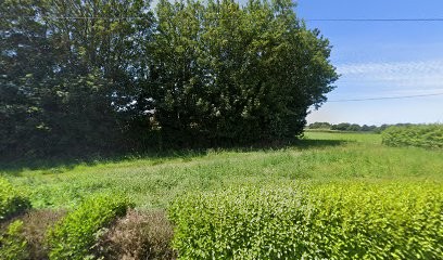 Mear Patrice, Primeur Fruits et Légumes à Plouvorn