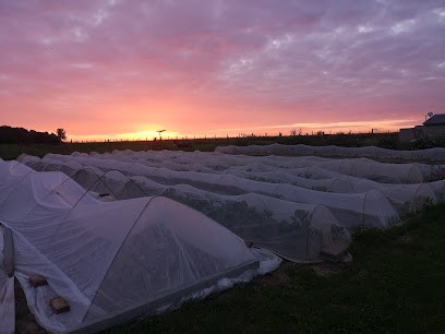 La p'tite ferme de Condé, Primeur Fruits et Légumes à Mesnils-sur-Iton