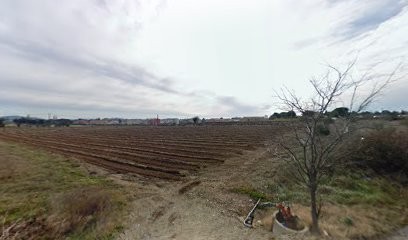 Vente producteur fruits et légumes, Primeur Fruits et Légumes à Sernhac