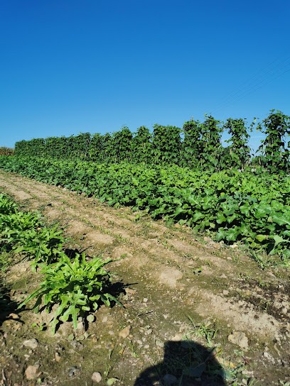 Le Potager Des 4 Mains, Primeur Fruits et Légumes à Saint-Pierre-de-Chevillé