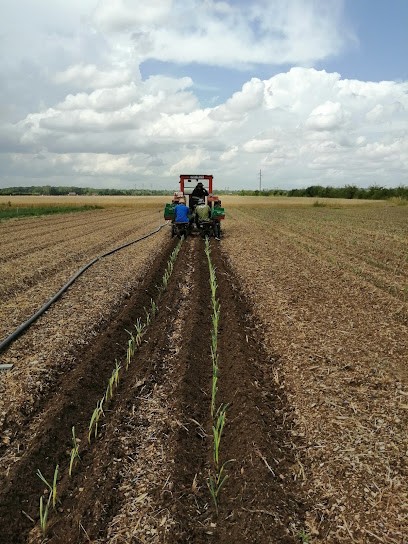 Le Jardin Des Tille Légumes, Primeur Fruits et Légumes à Magny-sur-Tille