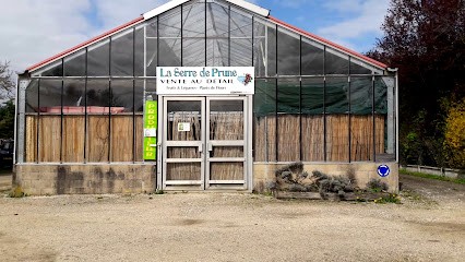 La serre de Prune, Primeur Fruits et Légumes à Orgerus