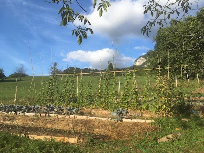 Les Jardins De La Pinéa, Primeur Fruits et Légumes à Proveysieux