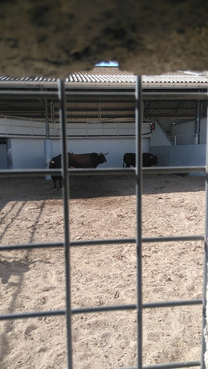 Les Jardins de Nimes, Primeur Fruits et Légumes à Nîmes