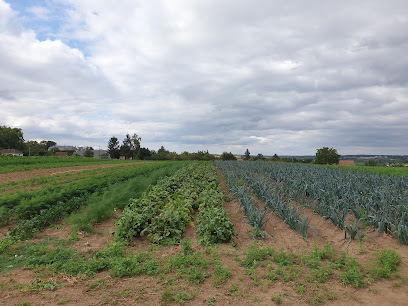 La Petite Lucette, Primeur - Fruits Et Légumes au Grand-Lucé