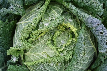 Le Jardin Du Papet - Agriculteur, Primeur Fruits et Légumes à Mollégès
