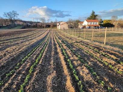 La Serre Des Plaisirs, Primeur Fruits et Légumes à Trois-Palis