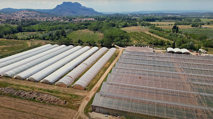La Vallée D'hortésie Primeur - Fruits Et Légumes à Roquebrune-sur-Argens