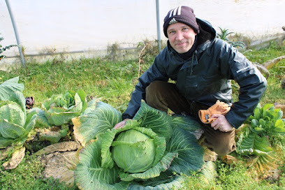 Les Pommes D Amour, Primeur - Fruits Et Légumes à Augerans