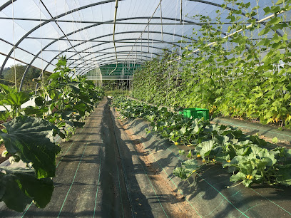 Les Paniers Du Cuzoul, Primeur - Fruits Et Légumes à Daglan