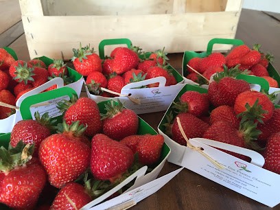 La Ferme Des Petites Chaumes, Primeur Fruits et Légumes à Surgères