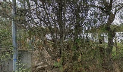 Les Jardins De Pézenas, Primeur Fruits et Légumes à Pézenas