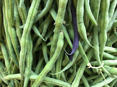 Jardin de Mottières, Primeur Fruits et Légumes à Villey-Saint-Étienne