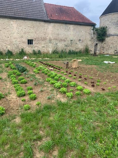Nature Bio And Co, Primeur Fruits et Légumes à Saint-Mard