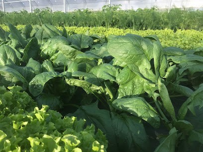 La Botte Germée, Primeur Fruits et Légumes à Parthenay-de-Bretagne